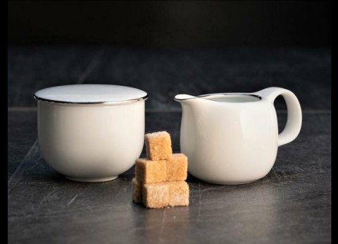 Garnitur do herbaty dla 6 osób 21 elementów PLUS Platin NZ166